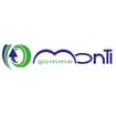 Logo Monti Srl
