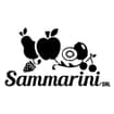Logo Sammarini Srl