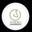 Logo Agricola Carandente Iv Srl