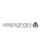 Logo Vespignani System Group S.a.s. Di Tassinari Nazario, Giuseppe & C.
