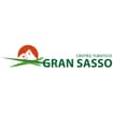 Logo Centro Turistico Gran Sasso Spa