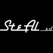 Logo Steal Srl