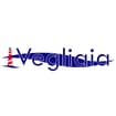 Logo Vegliaia International Srl