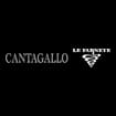 Logo "Tenuta Cantagallo E Le Farnete Di Dario Pierazzuoli & C. Societ A' Agricola In Accomandita Semplice" In Forma Abbreviata "Tenuta Cantagallo E Le Farnete Di Dario Pierazzuoli & C. S.a.a.s." Ovvero "T.c.l.f. Di Dario Pierazzuol I & C. S.a.a.s."