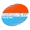 Logo "Rallyng Racing Line" Di Marchioretti Alessandro
