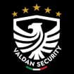 Logo Valdan Security Group Srl