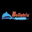Logo Bellatrix Srl