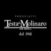 Logo Testa & Molinaro Spa