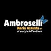 Logo Ambroselli Maria Assunta Srl
