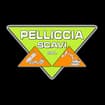 Logo Pelliccia Scavi Srl