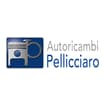 Logo Autoricambi Pellicciaro Srl