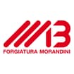 Logo Forgiatura Morandini Srl