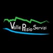 Logo Valle Pesio Servizi Società Consortile A Responsabilita' Limitata