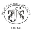 Logo Sorgentone Paolo E Mecatti Michele S.n.c.