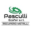 Logo Pasculli Ecofer Srl