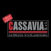 Logo Cassavia Srl Edilizia Industriale