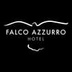 Logo Falco Azzurro Di Vallese Gianna E C. S.a.s.