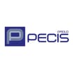Logo Pecis Paolo Srl