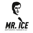 Logo Mr Ice Srl