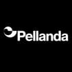 Logo Pellanda Giuliano Srl