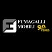 Logo Fumagalli Mobili Snc Di Fumagalli Antonio E C.