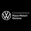 Logo Piave Motori Spa