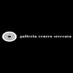 Logo Galleria Centro Steccata Srl