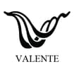 Logo Valente Srl