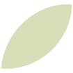Logo Carbon Credits Consulting Srl