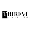 Logo Trirevi Consulting Srl