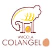 Logo Group Colangelo Srl