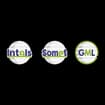 Logo Intals Spa