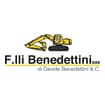 Logo F.lli Benedettini S.a.s. Di Benedettini Davide & C.