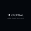 Logo Gandini Lab Srl