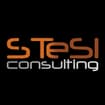 Logo Stesi Consulting Srl