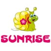 Logo Sunrise Di Bianco Valeria S.a.s.