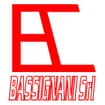 Logo Bassignani Srl