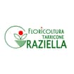 Logo Tarricone Graziella