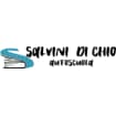 Logo Autoscuola Salvini - Di Chio S.a.s. Di Salvini Barbara & C.