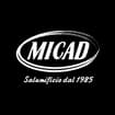 Logo Micad Srl