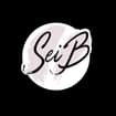 Logo Sei. B. Srl