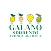 Logo Galano Sorrento Azienda Agricola Srl