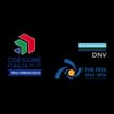 Logo Pelfa Group Srl