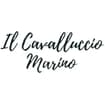 Logo Il Cavalluccio Marino Di Fabio E Lucia Malenotti E C. S.a.s.