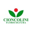 Logo Cioncolini Floricoltura Società Agricola Semplice Di Cioncolini Marco E Paolo
