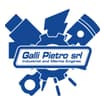 Logo Galli Pietro Srl