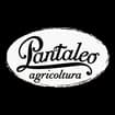 Logo Pantaleo Agricoltura Società Agricola Srl