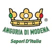 Logo Morselli Dottor Antonio