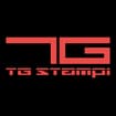 Logo Tg Stampi Srl