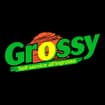 Logo Grossy Srl
